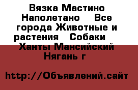 Вязка Мастино Наполетано  - Все города Животные и растения » Собаки   . Ханты-Мансийский,Нягань г.